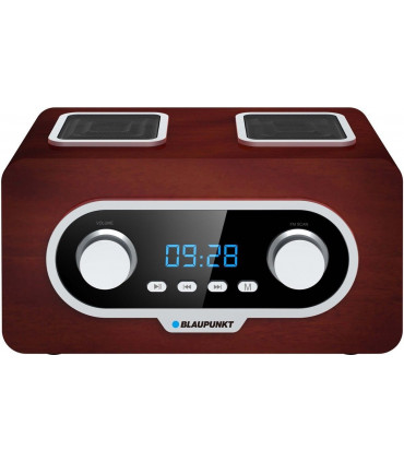 Blaupunkt PP5.2BR