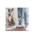 Bissell CrossWave HydroSteam Pet Pro 3528N auru ja juhtmega põrandapesur