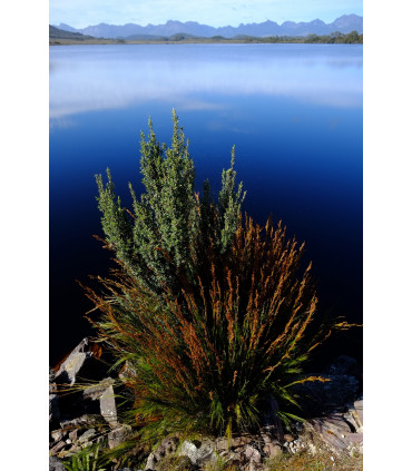 Fujinon XF 14mm f/2.8 R objektiiv