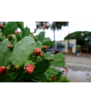 Fujinon XF 14mm f/2.8 R objektiiv