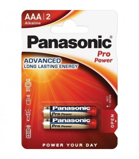 Panasonic LR03PPG/2B