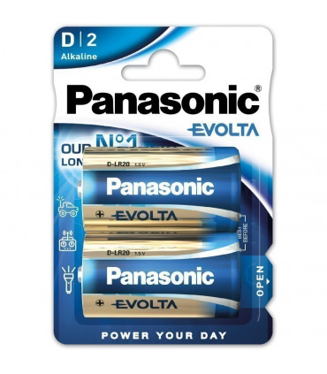 Panasonic LR20EGE/2B