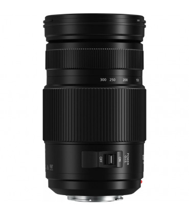 Panasonic Lumix G Vario 100-300mm f/4.0-5.6 II POWER O.I.S. objektiiv