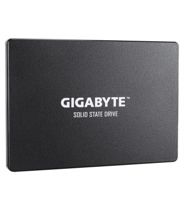 Gigabyte GP-GSTFS31100TNTD 1000GB SSD