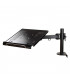 Neomounts DESK MOUNT 10-22"/NOTEBOOK-D100