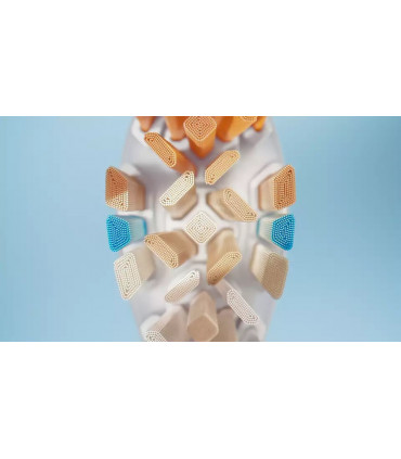 Philips HX9092/10 Sonicare A3 Premium All-in-One, valge 2 tk