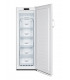 Gorenje FN4172CW