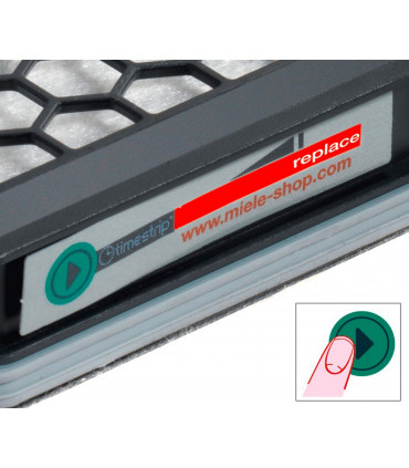 Miele SF-AA30 Active Air Clean filter