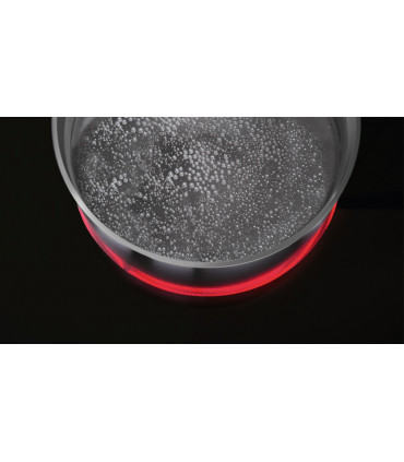 AEG HRB32310CB domino