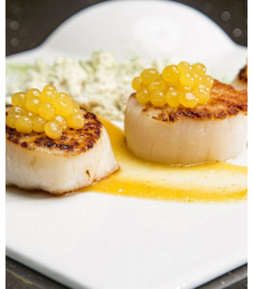 Rommelsbacher FD500 Perlino pärlimasin