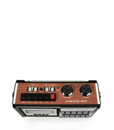 Ricatech PR85 kaasaskantav raadiomakk