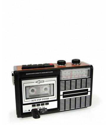 Ricatech PR85 kaasaskantav raadiomakk