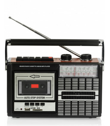 Ricatech PR85 kaasaskantav raadiomakk