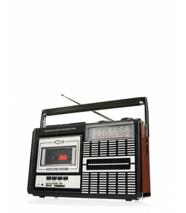 Ricatech PR85 kaasaskantav raadiomakk