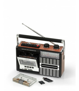 Ricatech PR85 kaasaskantav raadiomakk