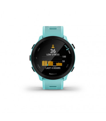 Garmin Forerunner 55, GPS, EU, Aqua