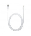 Apple Lightning - USB kaabel 2m