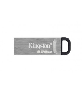 KINGSTON MEMORY DRIVE FLASH USB3.2/256GB DTKN/256GB