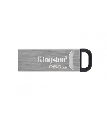 KINGSTON MEMORY DRIVE FLASH USB3.2/256GB DTKN/256GB
