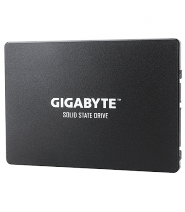 Gigabyte GP-GSTFS31100TNTD 1000GB SSD