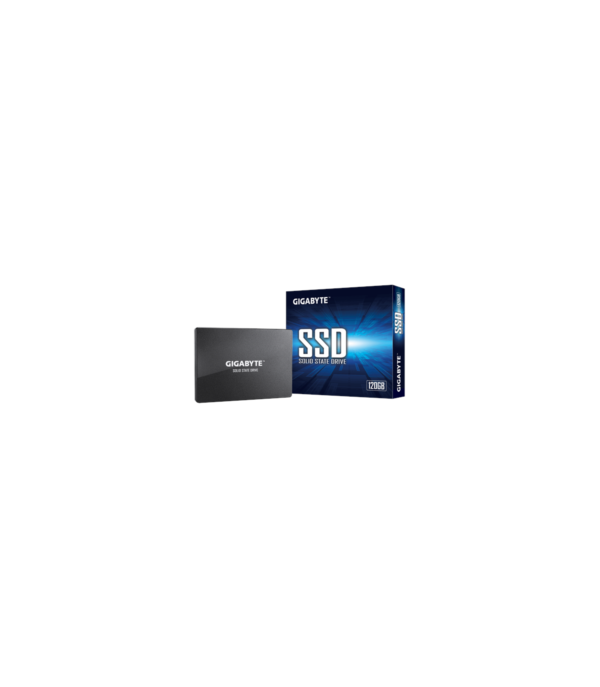 sekundær Om indstilling strimmel Gigabyte GP-GSTFS31120GNTD 120 GB, SSD interface SATA, Write speed 380  MB/s, Read speed 500 MB/s
