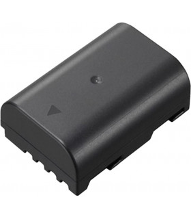 Panasonic aku DMW-BLF19