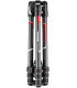 Manfrotto statiivikomplekt Befree GT CF 4 MKBFRTC4GT-BH