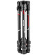Manfrotto statiivikomplekt MKBFRC4GTXP-BH Befree GT XPRO