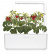 Click & Grow Smart Garden refill Minitomat 3tk