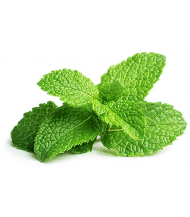 Click & Grow Smart Garden refill Piparmünt 3tk