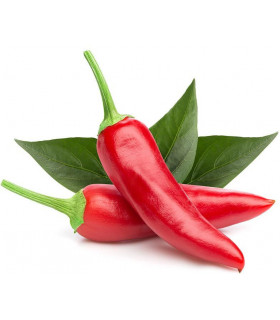 Click & Grow Smart Garden refill Tšillipipar 3tk