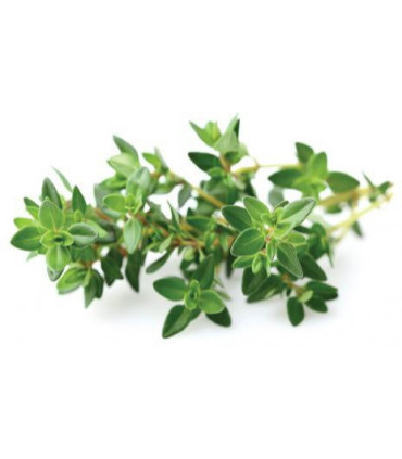 Click & Grow Smart Garden refill Tüümian 3tk