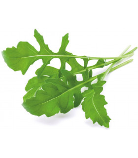 Click & Grow Smart Garden refill Rukola 3tk