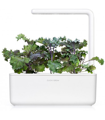 Click & Grow Smart Garden refill Punane lehtkapsas 3tk