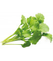 Click & Grow Smart Garden refill Kress-salat 3tk