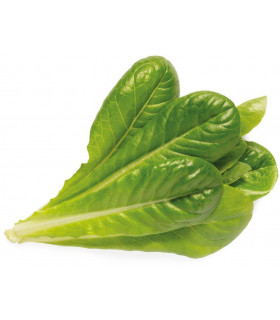 Click & Grow Smart Garden refill Rooma salat 3tk