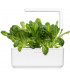 Click & Grow Smart Garden refill Rooma salat 3tk