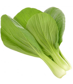 Click & Grow Smart Garden refill Pak Choi 3tk