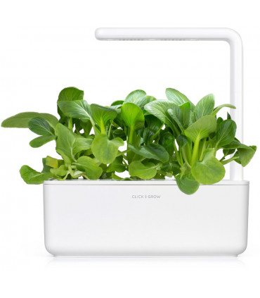 Click & Grow Smart Garden refill Pak Choi 3tk