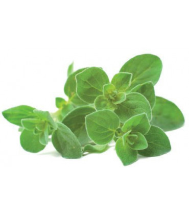 Click & Grow Smart Garden refill Pune 3tk