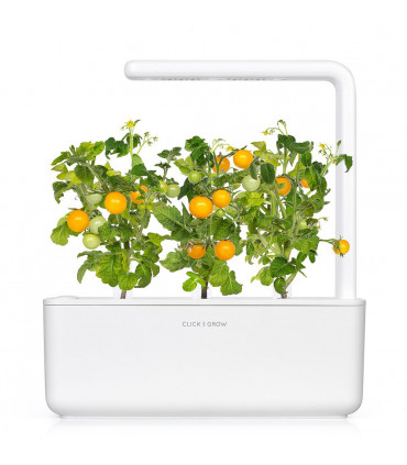 Click & Grow Smart Garden refill Kollane tomat 3tk