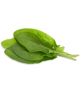 Click & Grow Smart Garden refill Hapuoblikas 3tk