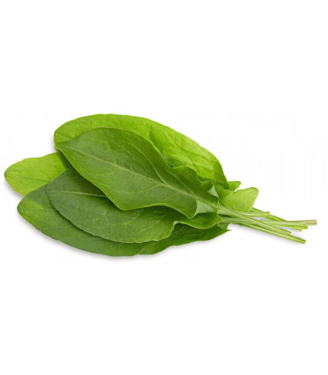 Click & Grow Smart Garden refill Hapuoblikas 3tk