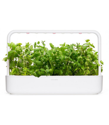 Click & Grow Smart Garden refill Õunmünt 3tk
