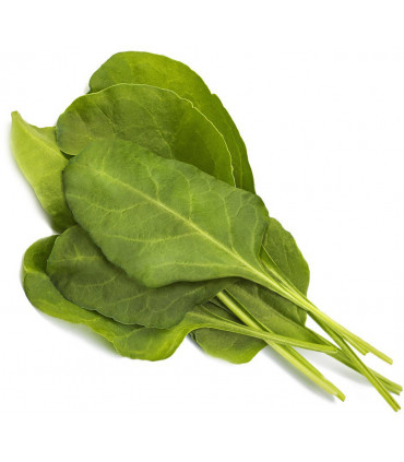 Click & Grow Smart Garden refill Lehtpeet 3tk