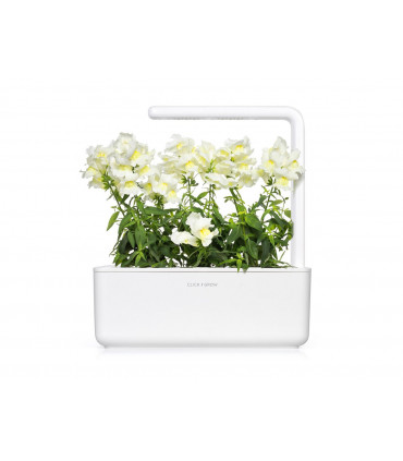 Click & Grow Smart Refill Valge lõvilõug 3tk