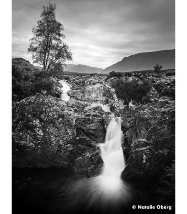 Ilford film Ortho Plus 135-36