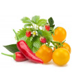 Click & Grow Plant Pod Fruit & Veggie Mix 9tk