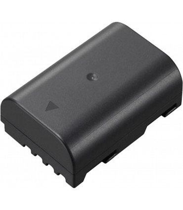 Panasonic aku DMW-BLF19