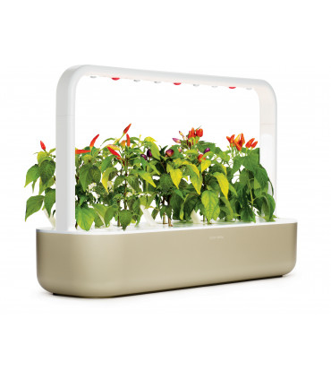 Click & Grow Smart Garden 9, beež